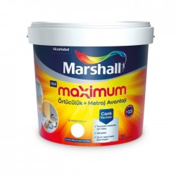 Maximum Sil. İpek Mat 2,5 L